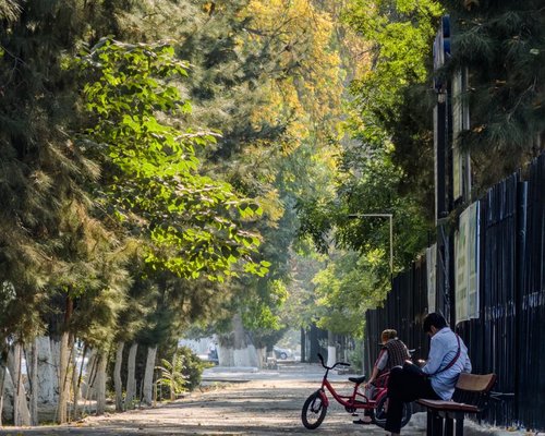 calm walk through a Chilean city park